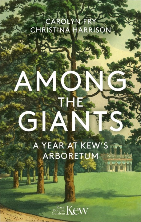 Among the Giants